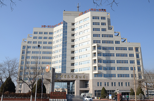 1  金川集团.JPG
